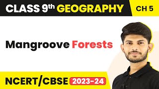 Class 9 Geography Chapter 5 Mangroove Forests Natural Vegetation amp Wildlife CBSENCERT [upl. by Gnim925]