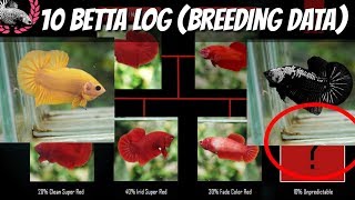 BETTA BREEDING DATA  BETTA LOG FOR KNOWLEDGE AND REFERENCE [upl. by Hanyaz]