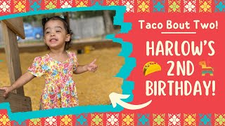 Harlow’s 2nd Birthday Fiesta 🪅 🌮 [upl. by Esten692]