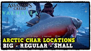 Assassins Creed Valhalla Arctic Char Fish Locations Big  Regular  Small [upl. by Einahpit]