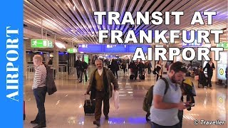 TRANSIT WALK AT FRANKFURT Airport FRA Terminal 1  Connection Flight Transfer Arriving amp Departing [upl. by Anailil]