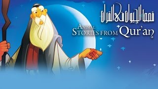 قصص الحيوان في القرآن  تتر البداية  Animal Stories from Quran  Intro [upl. by Campos]