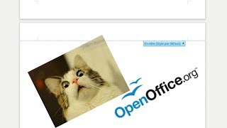 5 TUTO OPEN OFFICE  SUPPRIMER UNE PAGE BLANCHE QUI NE VEUT PAS PARTIR [upl. by Aihsenat]