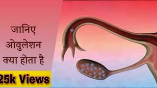 ओवुलेशन क्या होता है  ओवुलेशन कब होता है  ओवुलेशन होने के लक्षण क्या हैं what is ovulation [upl. by Hgielrebma]