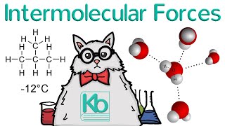 What are Intermolecular Forces [upl. by Akelahs194]