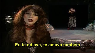 Kate Bush  Wuthering Heights Tradução [upl. by Gulgee499]