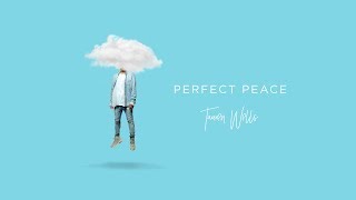 Tauren Wells  Perfect Peace Visualizer [upl. by Weld]