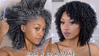 TYPE 4 HAIR UPDATED WASH N GO ROUTINE  CURL DEFINITION AT ITS BEST  DisisReyRey [upl. by Erle]