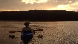 Tara Brach Leads a Guided Meditation Opening and Calming [upl. by Lamej751]