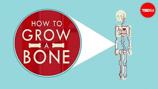 How to grow a bone  Nina Tandon [upl. by Robin]