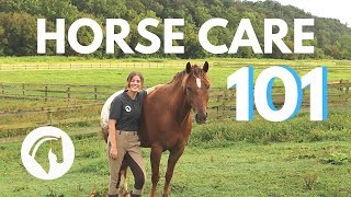 HOW TO CARE FOR A HORSE Complete Guide [upl. by Elpmet]