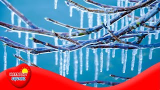 Freezing  More Grades 35 Science on the Learning Videos Channel [upl. by Ymaj225]